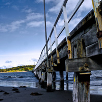 呼死你软件短信