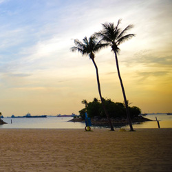 免费下载永久的网页版呼叫中心