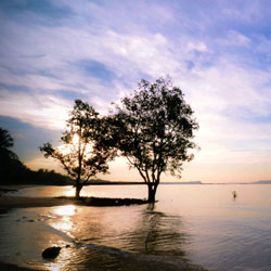 呼死你电话轰炸